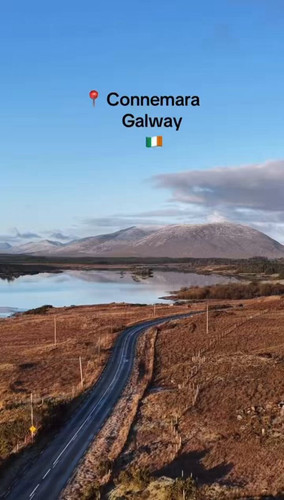 uM 7 1VDYmH335WF.jpg