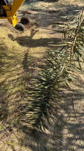 fneJi g XLzOtCZc.jpg