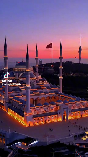 qF3ni y0lgIrt SL.jpg