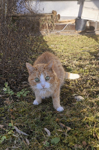 615824412 939460668406788 9051115356419286245 n.jpg