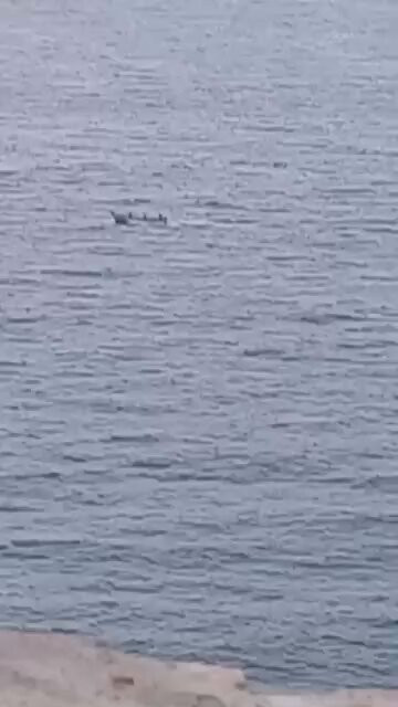 ICHm7z4tv VSG44o.jpg