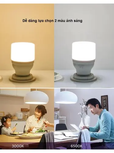 bong den led bright Philips 2.webp