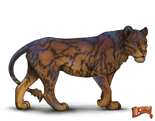 lioden wardrobe 7.png