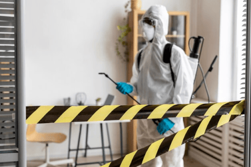 Pest Control Services.gif