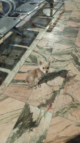 G nC0Z5bQAQBf76?format=jpg.jpg