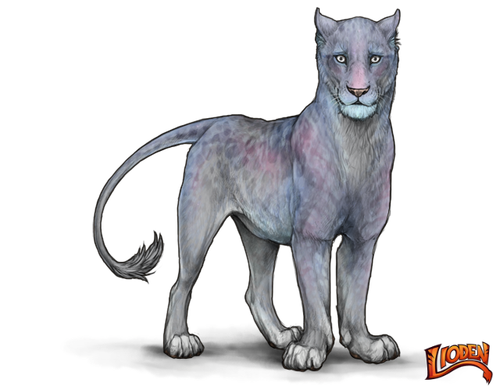 lioden wardrobe 11.png