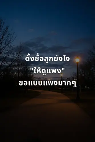 77de63246e42.webp