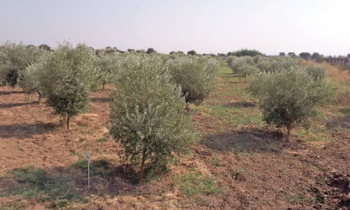 G pkwVVbQAEz25V?format=jpg.jpg