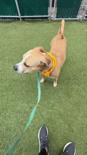 0FY7J7Zpjj8zoy c.jpg