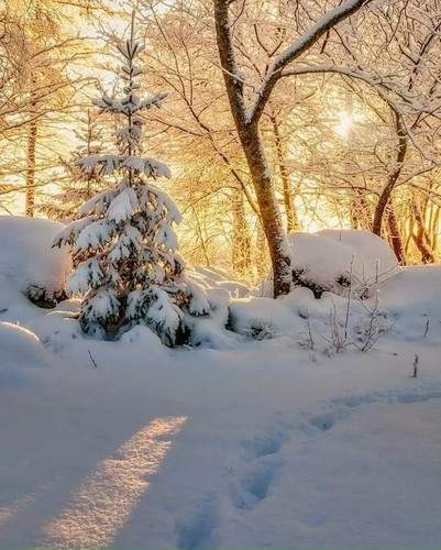 G w0FobWwAA14Lg?format=jpg.jpg