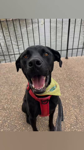 IGsiw lMO9FBcuof.jpg