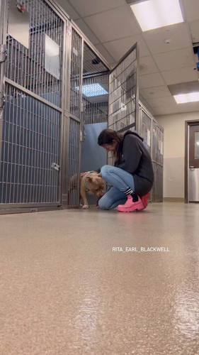 TNYge1FdP1 n0cRu.jpg