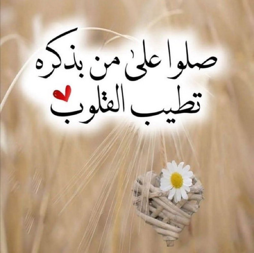 G v PQnaYAEjRwr?format=jpg.jpg