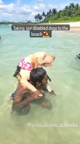 Xy0Xs rGTnB7bnnf.jpg