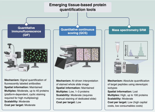G op5afbMAAyf45?format=jpg.jpg