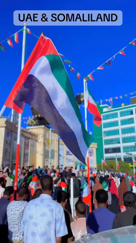 Szb8J MRBmkGImou.jpg