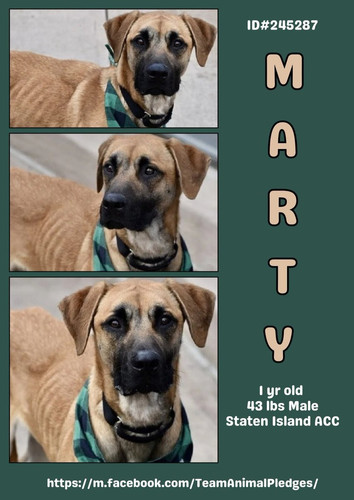 G jZ bxWMAA2LWW?format=jpg.jpg