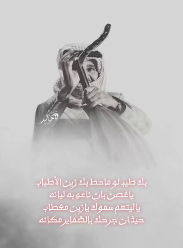 Vfv Vs4tDBwTxydW.jpg