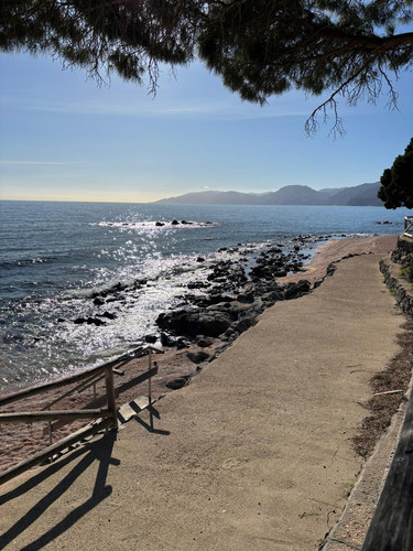 70012D80 58D9 4CE5 A44D 24ECC6279961.jpg