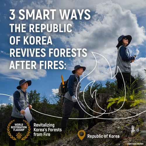 05xzCzGEStG BW9e.jpg