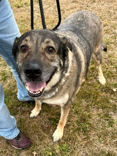 G q4weqWIAA HS7?format=jpg.jpg