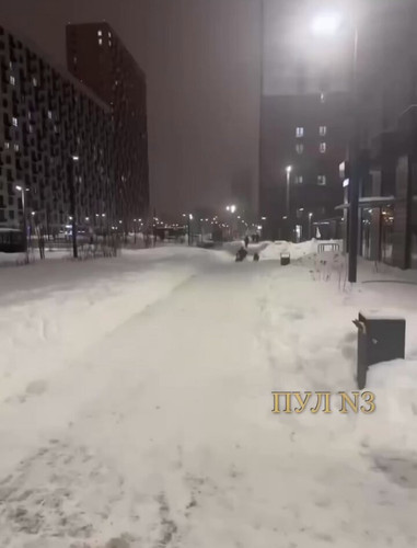 p9moL2 p3rPBTiWD.jpg