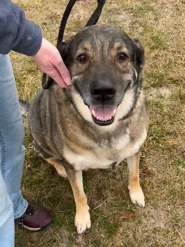 G q4wfNa0AAw7 p?format=jpg.jpg