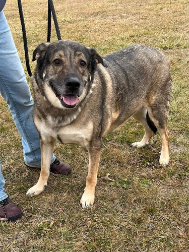 G q4wfBbQAYoxcs?format=jpg.jpg