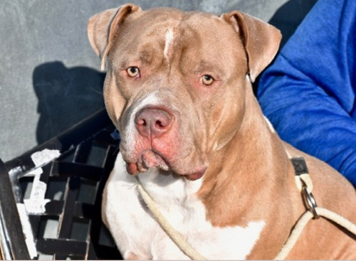 G lFwO bQAEvihP?format=jpg.jpg