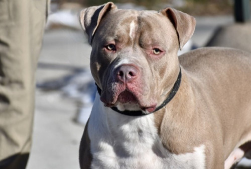 G mR2FDbsAAbgVS?format=jpg.jpg