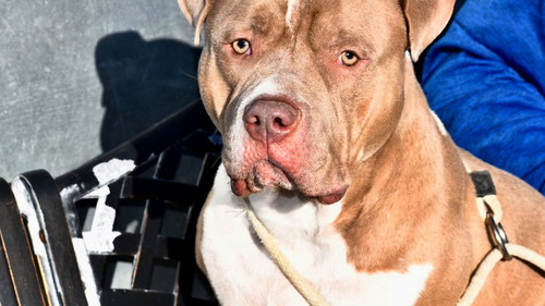 3J8TY opZfbJUevH.jpg