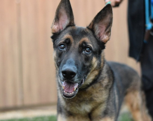 G kxNAObkAAD2Tu?format=jpg.jpg