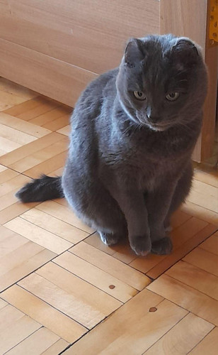 G wcXwdXMAEaCMk?format=jpg.jpg