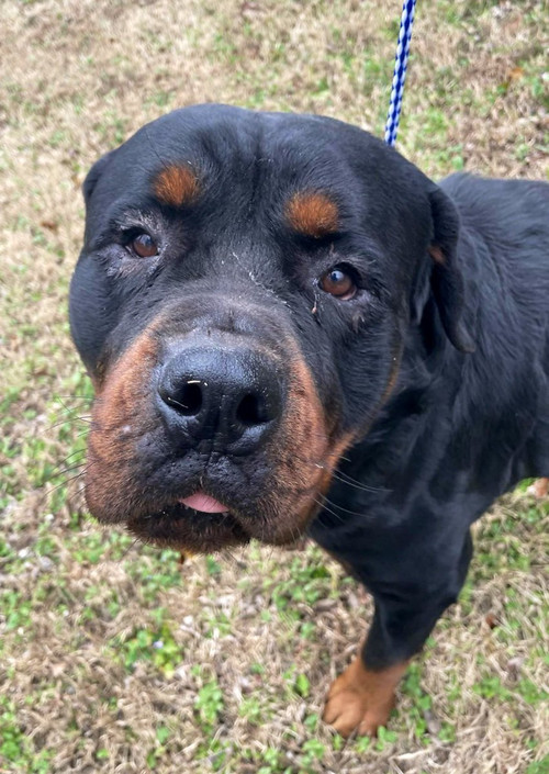 G va980bQAATitg?format=jpg.jpg