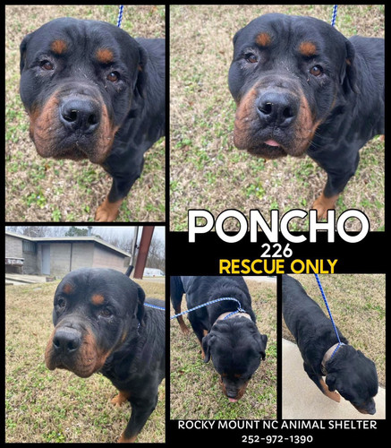 G vC3TwbQAElGl5?format=jpg.jpg