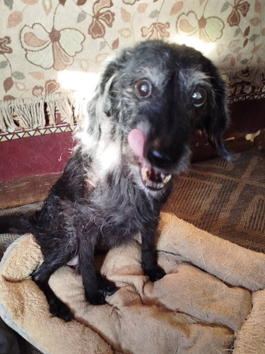 G txRO1X0AA4nRU?format=jpg.jpg