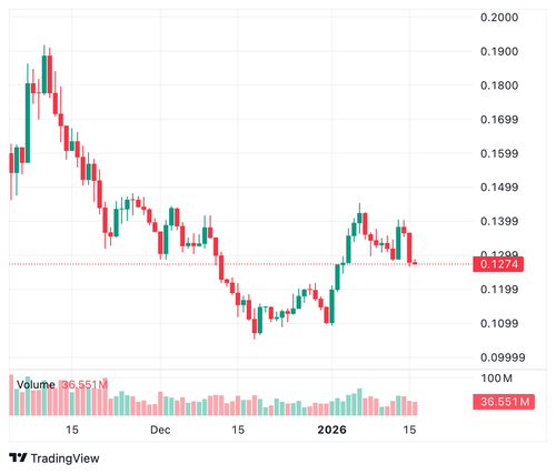 G xzHRQbkAMmSv6?format=png.png