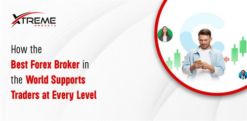 How the Best Forex Broker in the World Supports Traders at Every Level.jpg