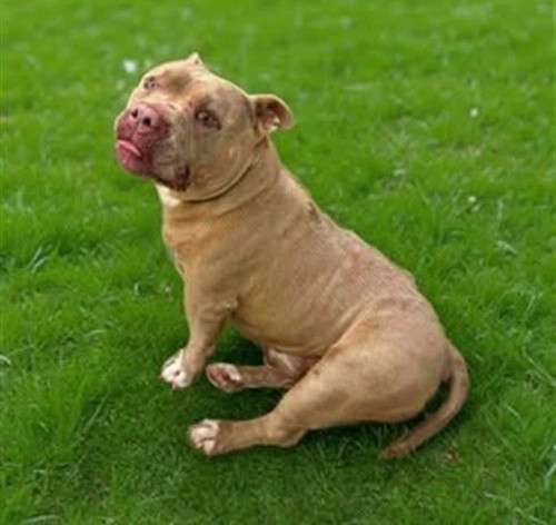 G hVgWhWwAEPsjb?format=jpg.jpg