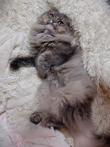 G uXa39XsAEItyd?format=jpg.jpg