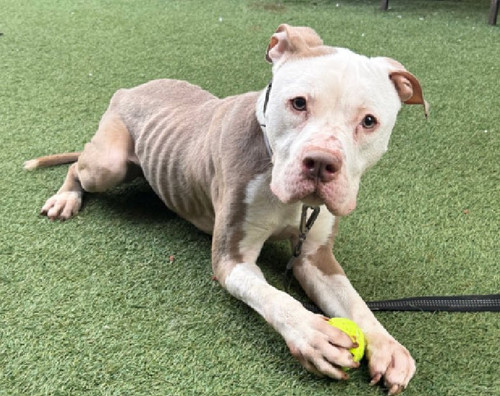 G tBgTSasAALGiQ?format=jpg.jpg