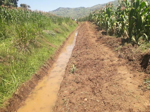 G tbdQSXcAAd 3T?format=jpg.jpg