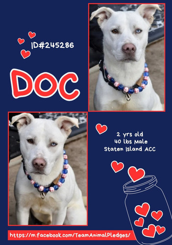 G jZVCQXcAAV8xb?format=jpg.jpg