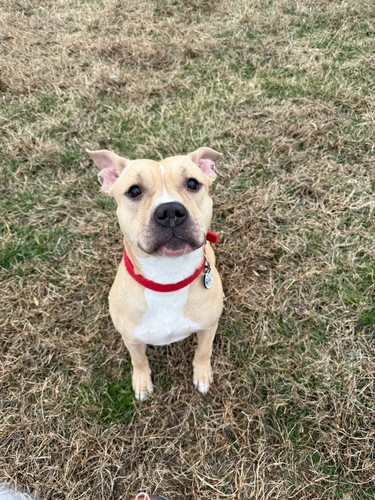 G uWlsxXQAAooip?format=jpg.jpg