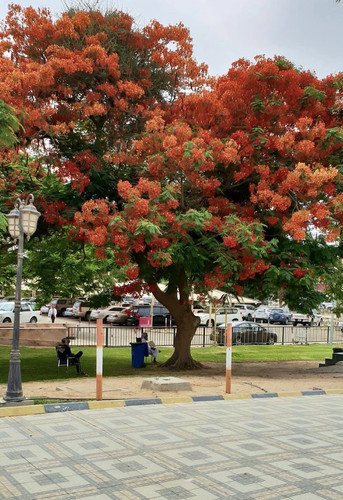 G t7YDNXkAAyP4c?format=jpg.jpg