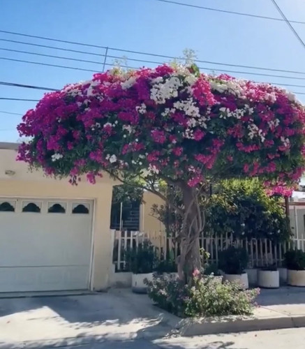 G t7YDsbEAANHZU?format=jpg.jpg