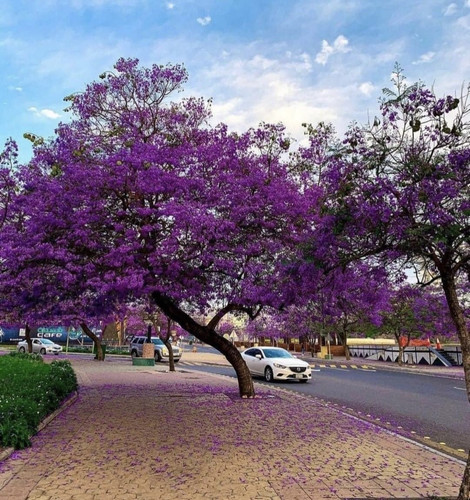 G t7YDvbQAAPOrE?format=jpg.jpg