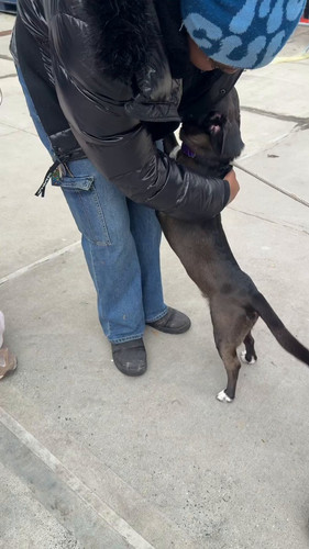 f8 ODpi77m8PWmI4.jpg