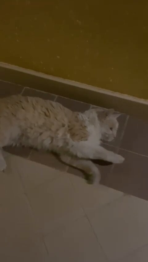 x 5SOHI9pta3Ornp.jpg