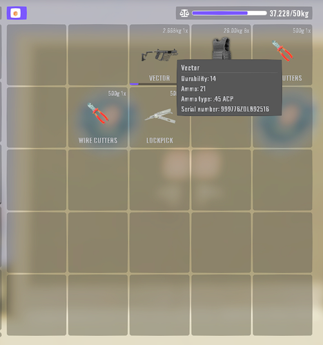 FiveM GTAProcess 3730BIs9Dr.png